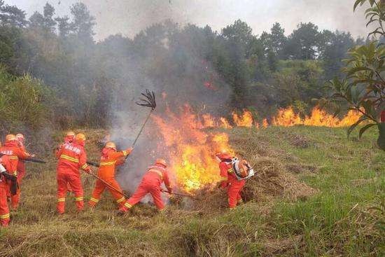 红外热像仪在森林防火中的重要作用-1